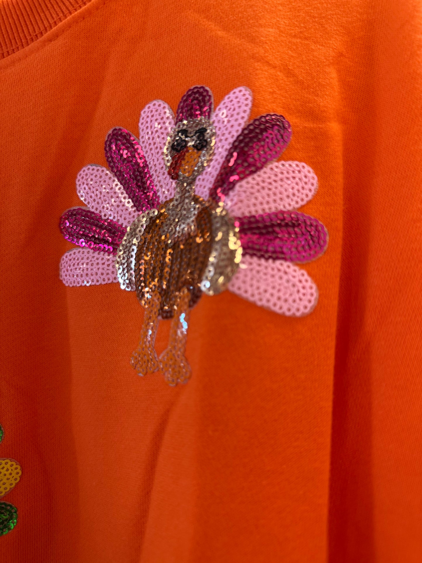 Have a Sparkly Thanksgiving Turkey Sweatshirt